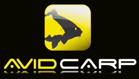 Avid Carp